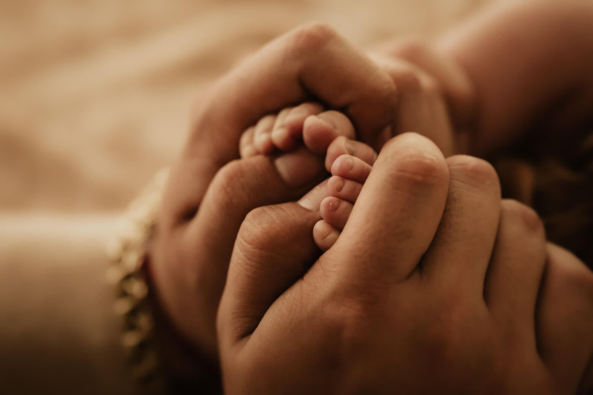 Details of a parent holding their newborn baby’s feet beautifully connected