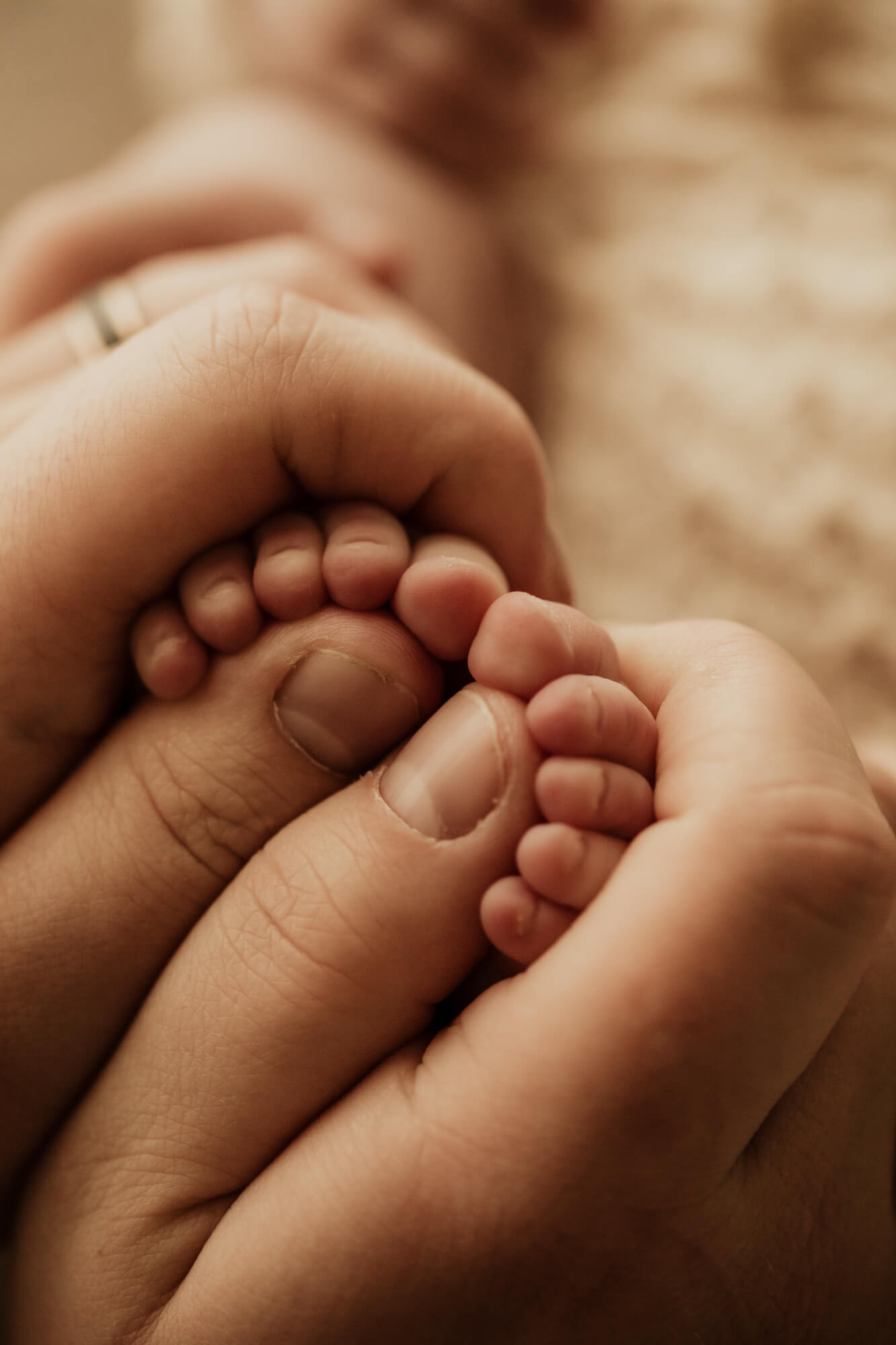 Baby girl feet held by her father's hands.