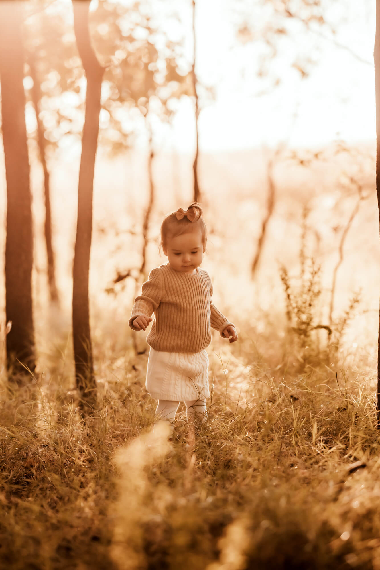 Toddler girl explores trees around trees.