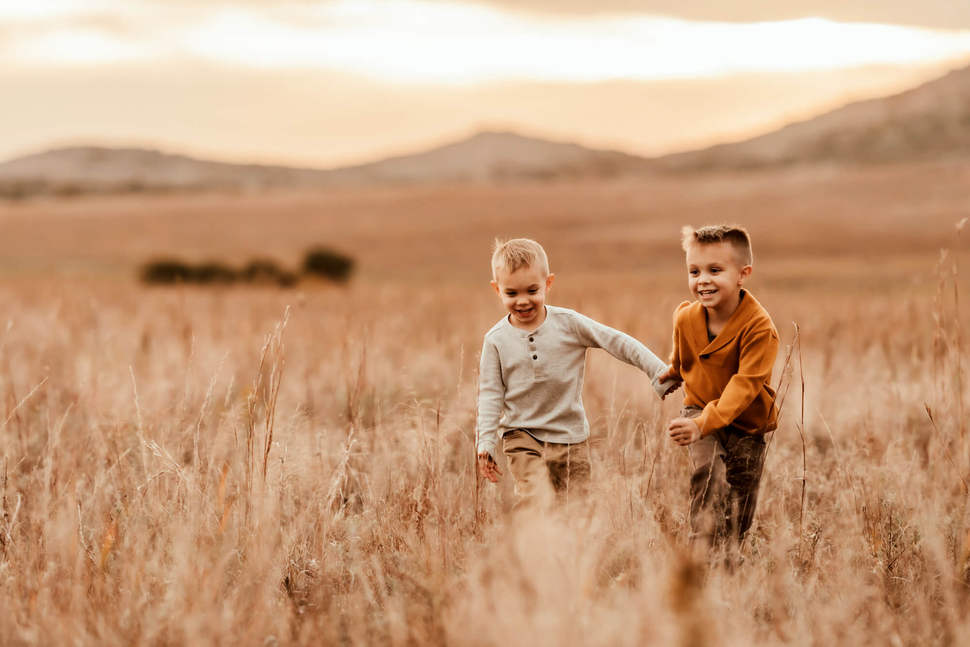 Two bother run in a golden field, Kidoodles Norman OK.