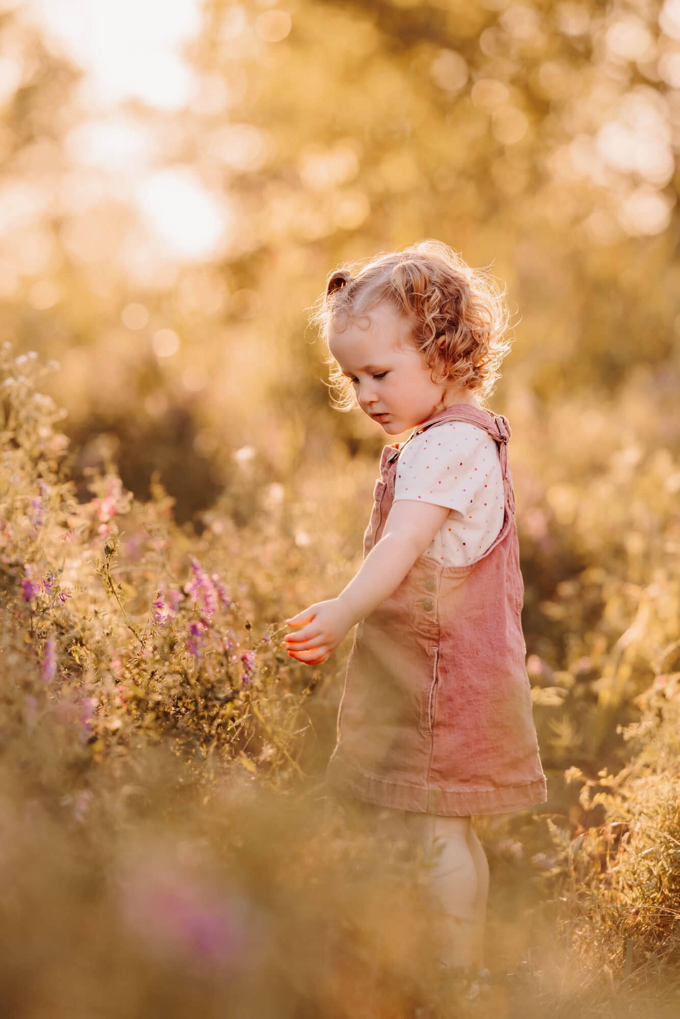 Girl picks a purple flower in a golden field while wearing a pink dress, OKC splash pads.